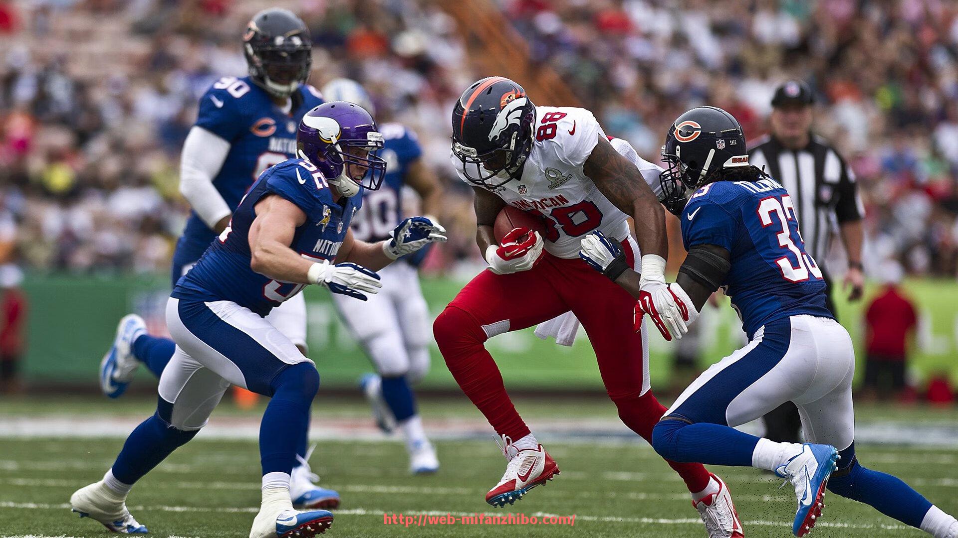 秘饭直播-淘宝健身器材店铺推荐与评价分析