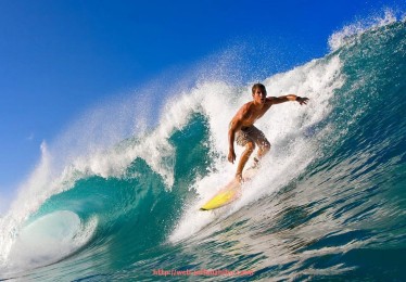 秘饭直播-广东宏远队CBA球员详细介绍与赛季表现